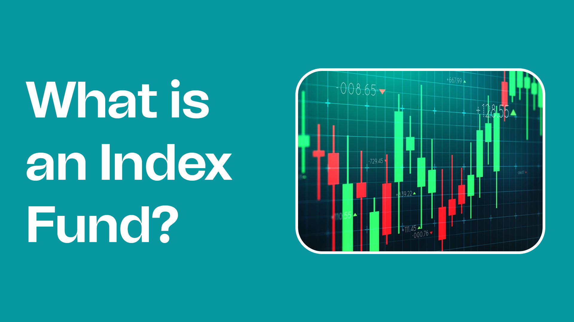 What is an Index Fund? | Risevest Blog